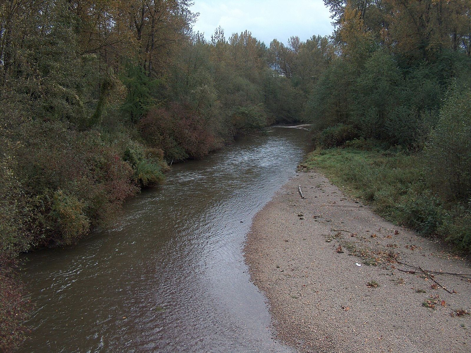 The Coquitlam River flowing past rocks and forest