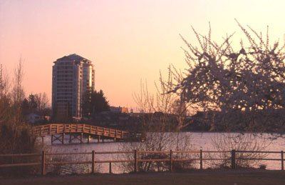 View across Mill Lake in Abbotsford toward trees and distant hills
