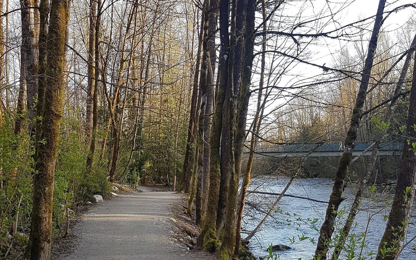 The Coquitlam River trail area near the construction site in Port Coquitlam
