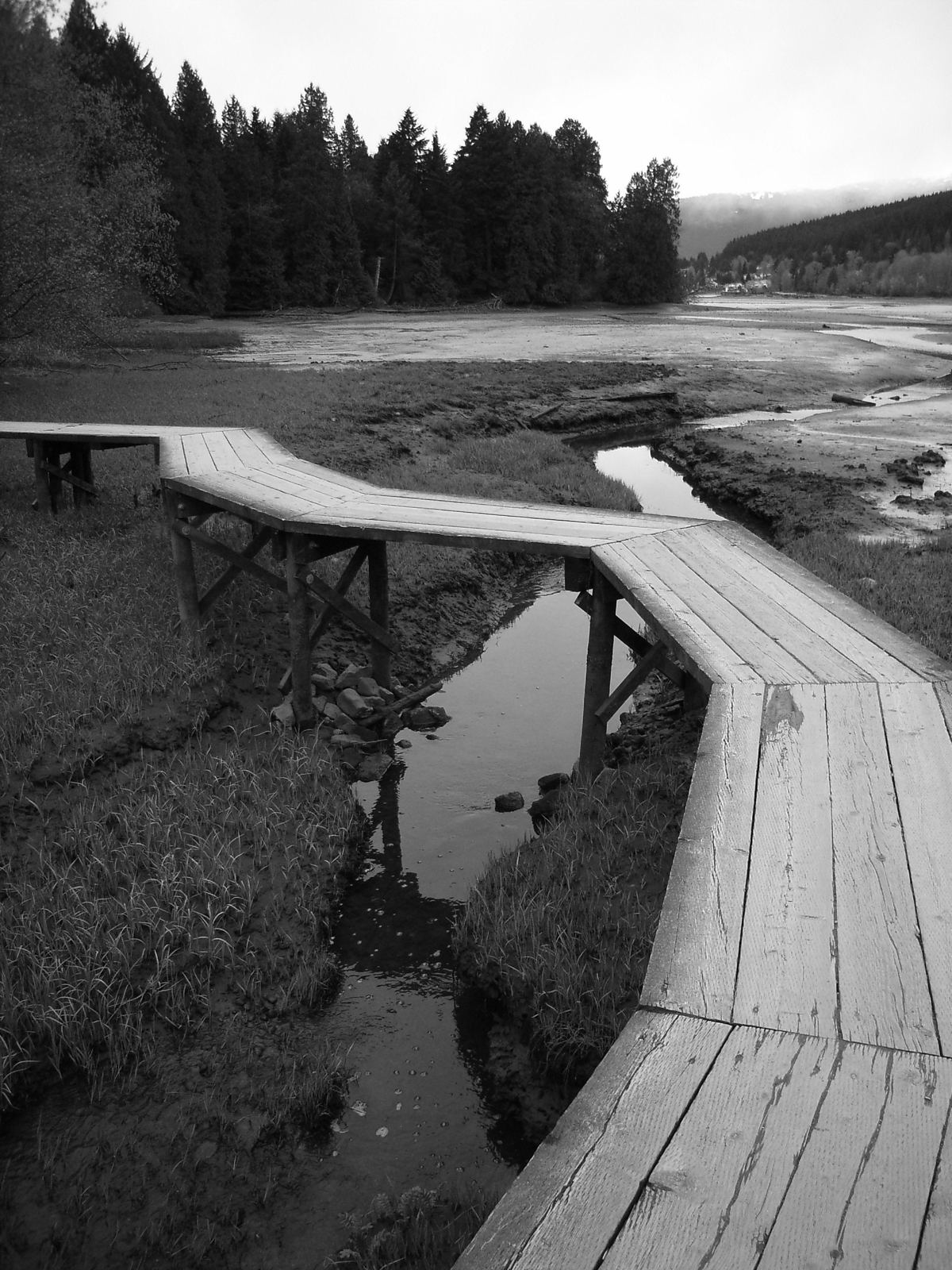 Boardwalk over the mudflats on Port Moody's Shoreline Trail