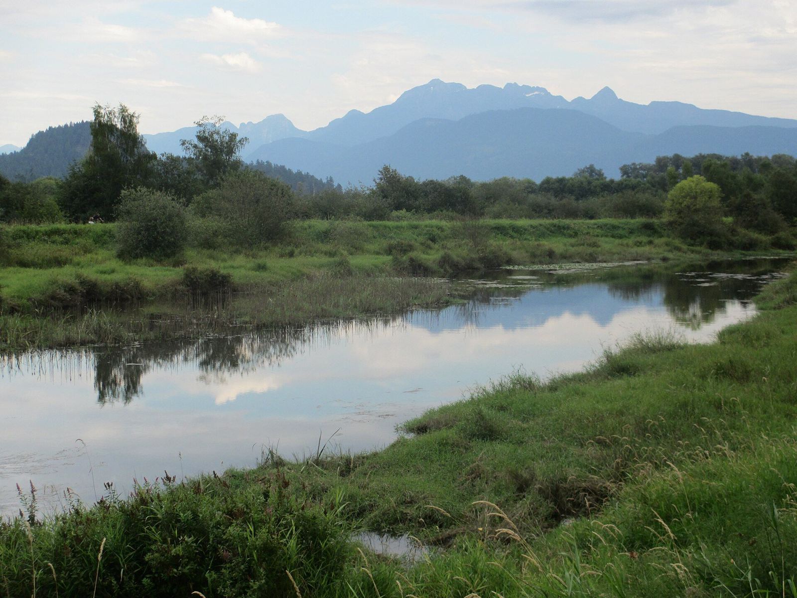 The PoCo Trail passing wetlands along the Pitt River in Port Coquitlam
